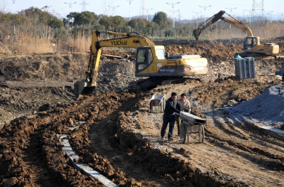 南京农田水利工程建设凸显生态理念 草坡取代混凝土