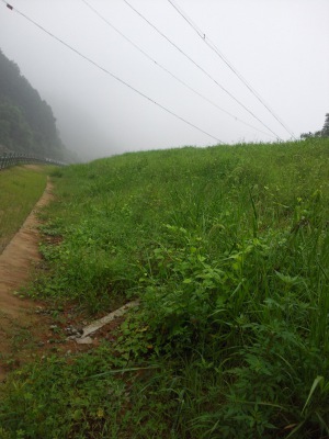 福建邵武市同清溪右岸生态混凝土